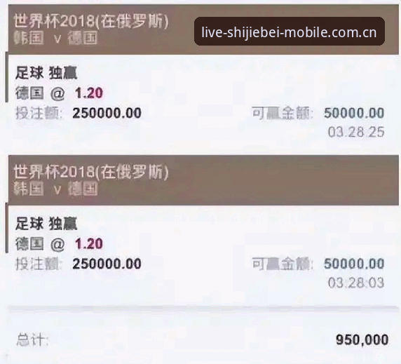 深度揭秘：世界杯手机买球方法安全吗？技术评测背后不为人知的真相
